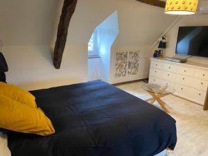 a bedroom with a blue bed and a tv at Rocamadour in Rocamadour +13 photos