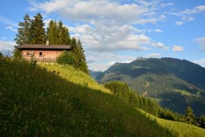 a house on the side of a grassy hill at Ferienhaus Fritzensee in Bartholomäberg
