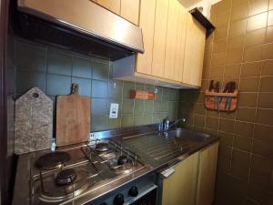 a kitchen with a stove top oven in a kitchen at Casa Verde in Sestriere
