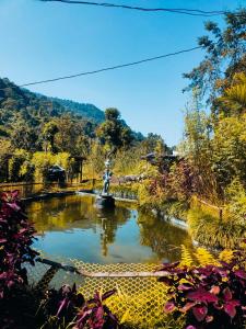a pond in a garden with a fountain at Aurora Farmstay in Rongli