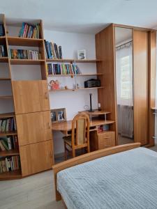 a bedroom with a bed and a desk and book shelves at Apartament Cichy Zakątek in Ruciane-Nida