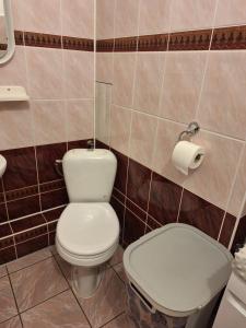 a bathroom with a toilet and a roll of toilet paper at Apartament Cichy Zakątek in Ruciane-Nida