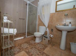 a bathroom with a toilet and a shower and a sink at Sundown Lodge and Confrence in Aliwal North