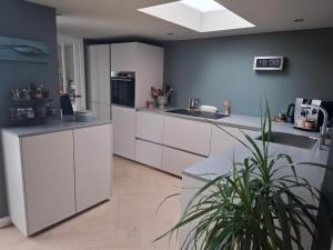 a kitchen with white cabinets and a potted plant at Zee-en-Zo Noordwijk in Noordwijk