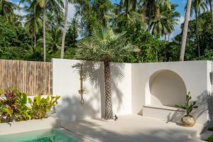 a palm tree in front of a white wall with a pool at K Villas Phangan 04 in Ban Madua Wan