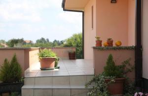 Zahrada ubytování Apartment Larin