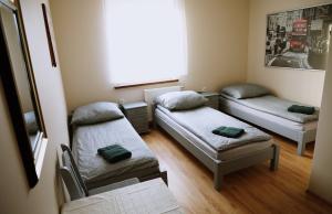 a small room with two beds and a window at Noclegi Kochlice in Kochlice +57 photos
