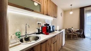 a kitchen with a sink and a counter top at Central Station Apartments in Podgorica