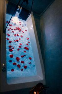 a aquarium filled with red fish in a room at Santa Rosa Apartments in Kalamata