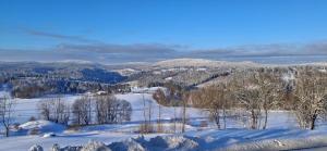 a snowy mountain with trees and mountains in the background at Apartmány pod Štěpánkou in Kořenov