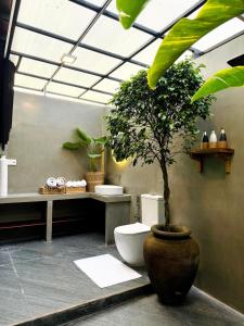 a bathroom with a toilet and a potted plant at Kurunda Estate Villa in Tangalle