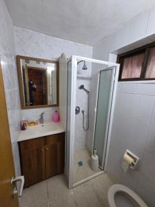 a bathroom with a shower and a sink at Among the cherry trees - B&B 1 Hermon in Metulla