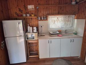 a kitchen with white cabinets and a white refrigerator at Among the cherry trees - B&B 1 Hermon in Metulla