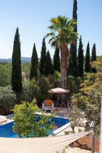 a resort with a palm tree and a swimming pool at Finca Can Rosa Ibiza, private pool, a nature getaway in Santa Gertrudis de Fruitera