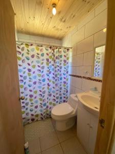 a bathroom with a toilet and a shower curtain at Cabaña en Licán Ray in Licán Ray +4 photos