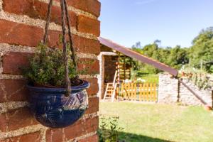 A garden outside Cascinetta32