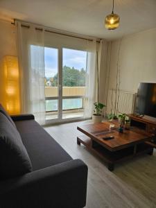 a living room with a couch and a coffee table at Appartement T2 in Le Creusot