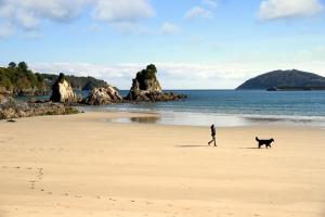 a man and a dog walking on a beach at Winahost Ático Viveiro in Viveiro +2 photos