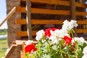 A garden outside Cascinetta32