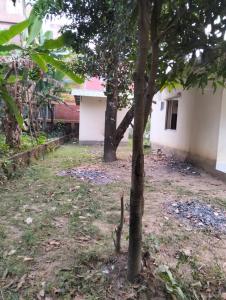 a group of trees in front of a building at Mini Banglo in Sylhet