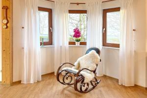 a dog sitting in a rocking chair in a room with windows at Landlust in Lübbenau