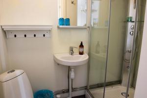 a bathroom with a sink, toilet and shower stall at Lilla Hotellet i Nora in Nora