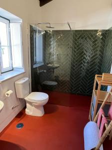a bathroom with a toilet and a shower at Casas do Hastim in Golegã