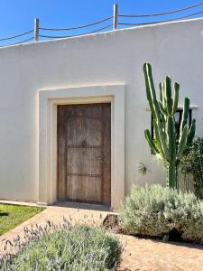 a door in the side of a building with a cactus at Maison Flamingo - Boutique hôtel in Essaouira