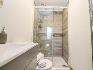 a bathroom with a shower with a toilet and a sink at Blake Lodge in Newquay +16 photos