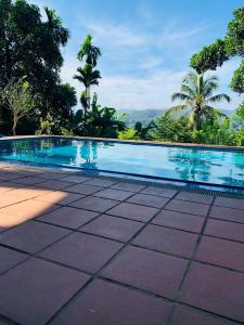 a swimming pool in a resort with trees in the background at Discovery resort in Ratnapura