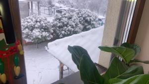a view of a snow covered yard from a window at Pista house in Beograd