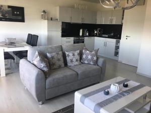 a living room with a couch and a kitchen at Apartment 256 in Hohegeiß