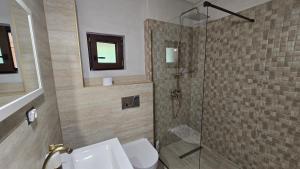 a bathroom with a shower and a toilet and a sink at La Murmur de Padure in Bălnaca