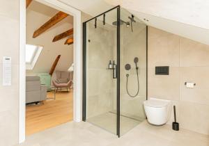 a bathroom with a shower with a toilet at Alb Appartement - gemütliche Wohnung mit Balkon in Balingen +22 photos