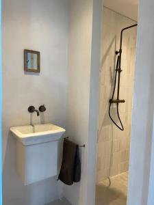 a bathroom with a sink and a shower at Maison 1882 in Hauwert