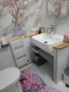 a bathroom with a sink and a toilet at Butterfly PODika in Lerwick