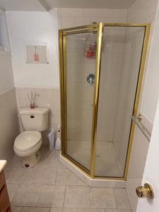 a bathroom with a shower and a toilet at Cozy Studio in Elmont