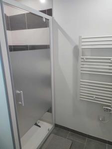 a shower with a glass door in a bathroom at Le Cocoon Léréen in Léré