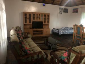 a living room with a couch and a television at Best view family loft in Oranjeville