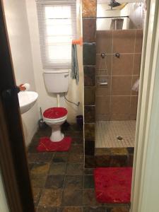 a bathroom with a toilet and a shower at Best view family loft in Oranjeville +57 photos