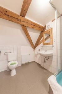 ein Bad mit einem WC und einem Waschbecken in der Unterkunft Hörners Landgasthof in Geislingen an der Steige