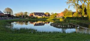 a pond in a field with houses in the background at Ferienhaus Seeschwalbe in Fehmarn