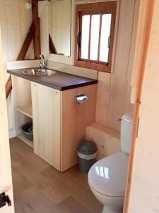 a small bathroom with a toilet and a sink at Cabanes Lodges Le Servière in Balazuc