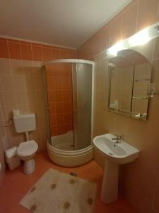 a bathroom with a shower toilet and a sink at Belvedere GreșuLepșa in Greşu