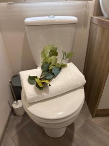 a white toilet with a plant on top of it at The Lobster Pot in Ilfracombe +21 photos