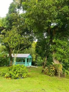 a blue house in the middle of a yard at Casa de Campo Vive in Ensanche Savica de Mendoza