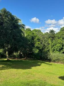 a large green field with trees in the background at Casa de Campo Vive in Ensanche Savica de Mendoza +11 photos