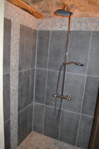 een douche met een slang in de badkamer bij Les Pensions du Joslin in Bouin