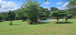 a yard with a swimming pool and trees at Sand River Cottages in Hazyview