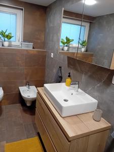 a bathroom with a white sink and a mirror at Apartma - Hiša Zofija in Slovenske Konjice +28 photos